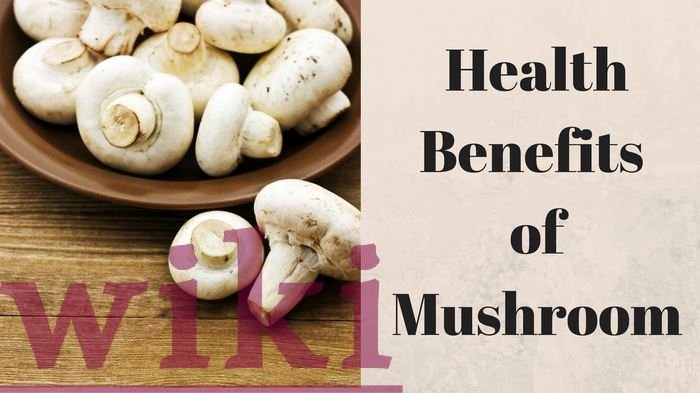 Benefits of mushrooms for diet