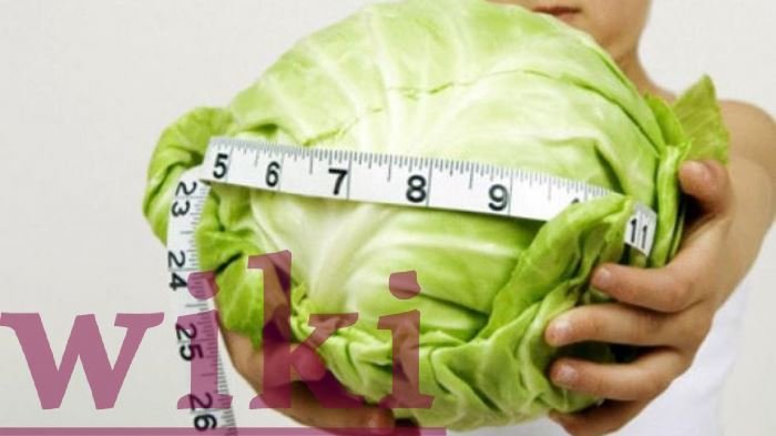 What are the benefits of cabbage for slimming